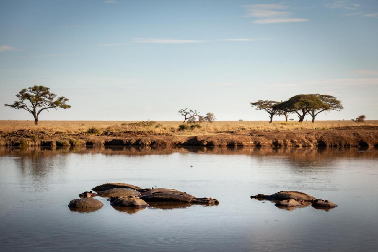 Mawe Tented Camp Serengeti Eksteriør bilde