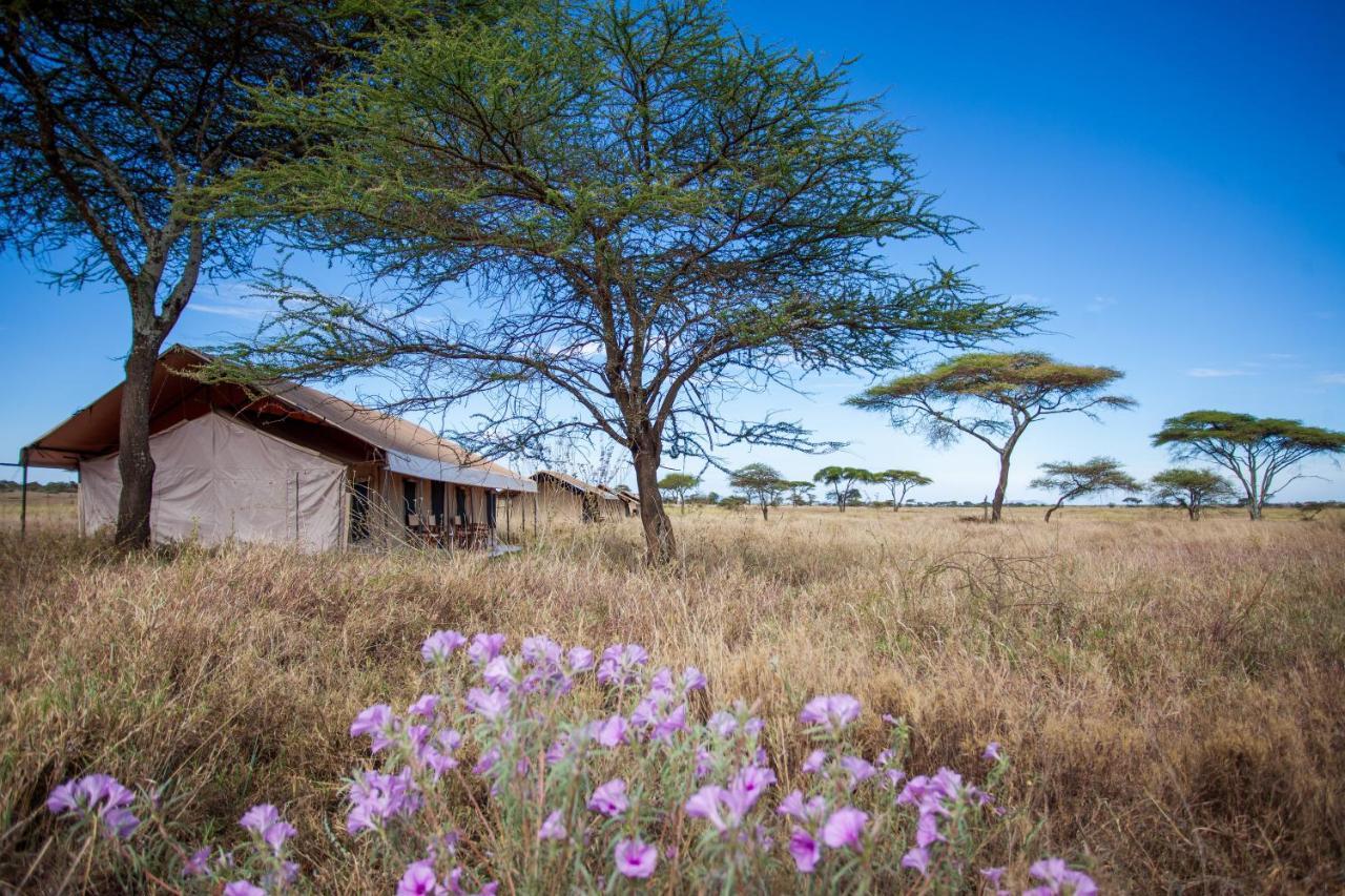 Mawe Tented Camp Serengeti Eksteriør bilde